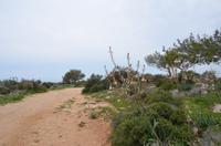Wanderung zum Aphrodite-Felsen