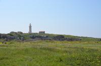Spaziergang entlang der Strandpromenade, Paphos