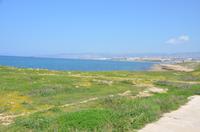 Spaziergang entlang der Strandpromenade, Paphos