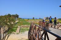 Ausgrabungsstätte Paphos