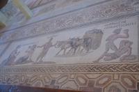 Mosaik im Haus des Dionysos