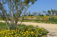 Ausgrabungsstätte Paphos