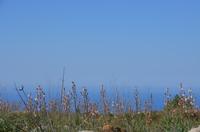 Wanderung zur Avagas-Schlucht