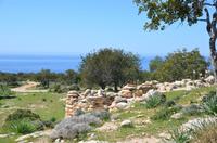 Wanderung entlang der Westküste