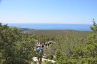 Wanderung entlang der Avagas-Schlucht