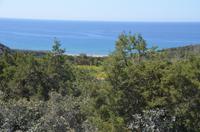 Blick auf die Westküste