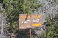 Avagas-Schlucht