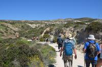 Halbtageswanderung in der Nähe des Aphroditefelsen