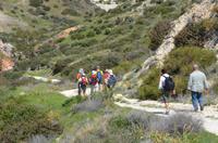 Halbtageswanderung in der Nähe des Aphroditefelsen