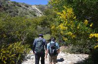 Halbtageswanderung in der Nähe des Aphroditefelsen
