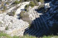 Wanderung entlang der Weinfelder