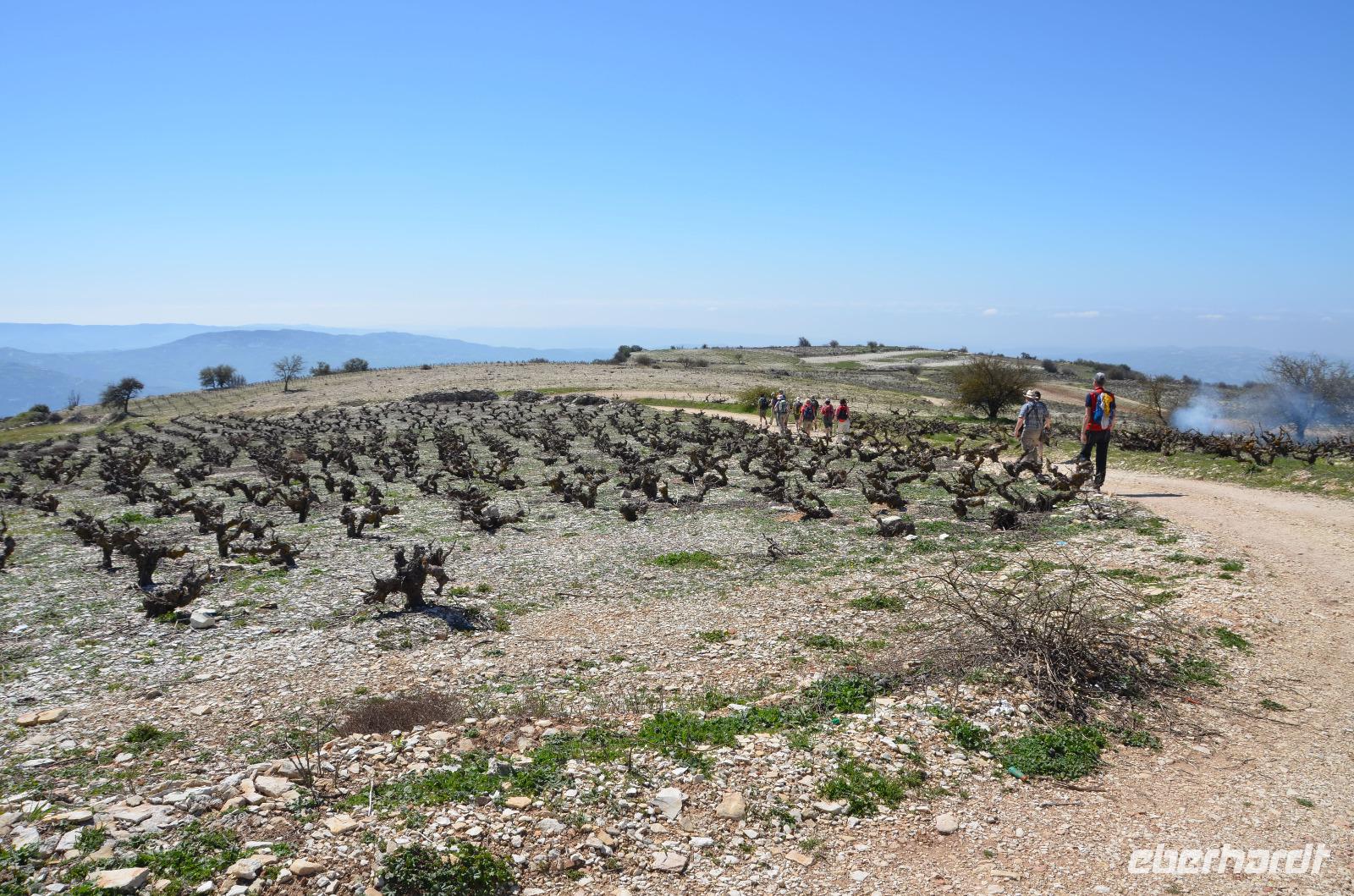 Wanderung entlang der Weinfelder