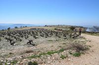 Wanderung entlang der Weinfelder