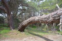 Wanderung auf dem Aphrodite-Weg