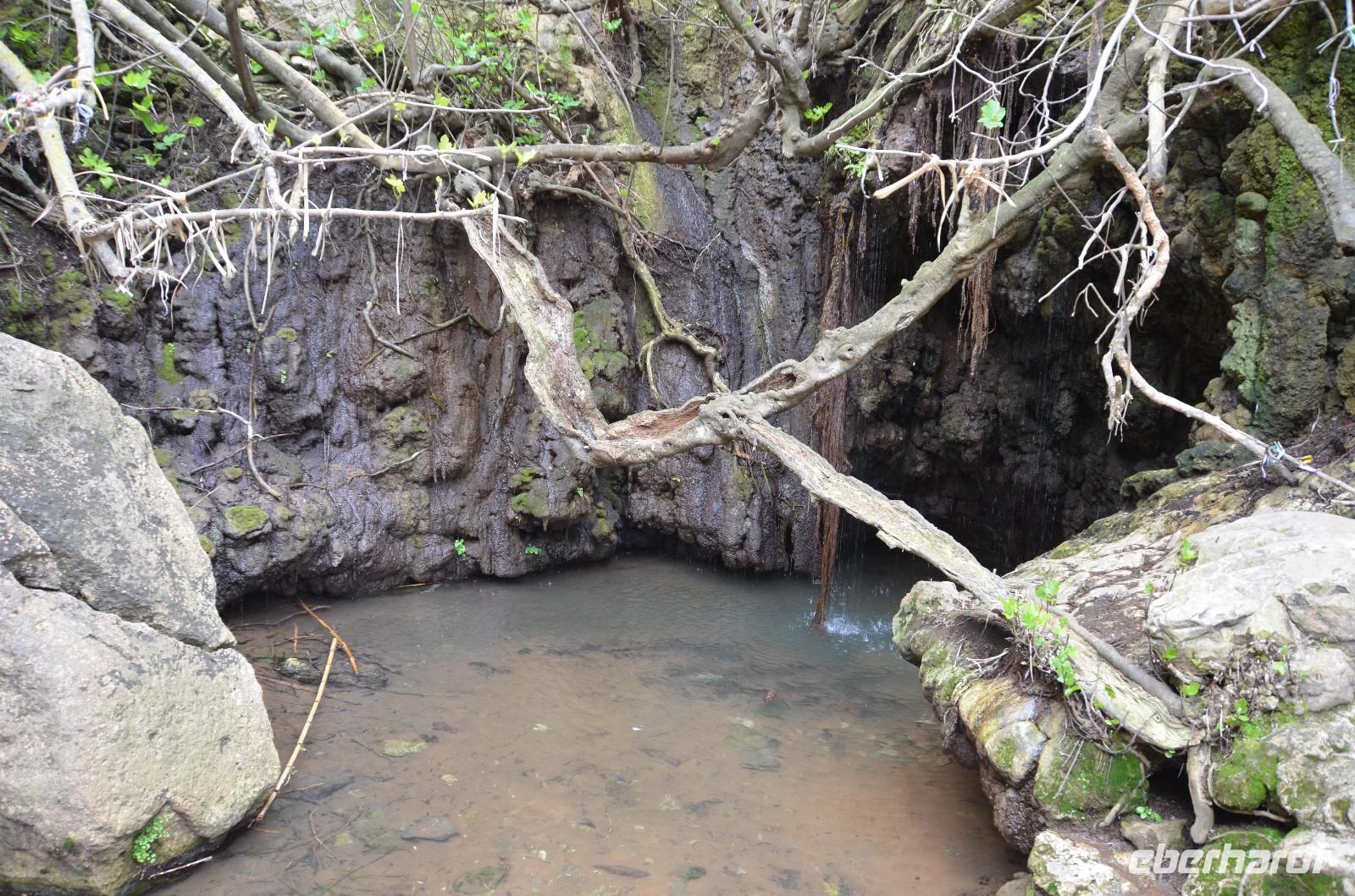 Quelle der Aphrodite