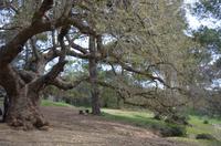 Wanderung auf dem Aphrodite-Weg