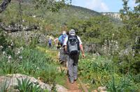 Wanderung zur Aphrodite-Quelle