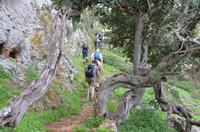 Wanderung auf dem Aphrodite-Weg