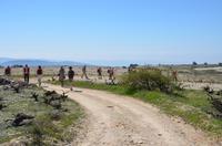 Wanderung zum Chrysorrogiatissa-Kloster