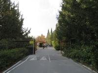 Silvester-Rundreise Zypern - Kloster Agios Georgios Alamanou