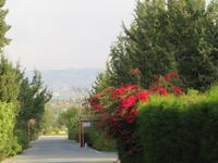 Silvester-Rundreise Zypern - Kloster Agios Georgios Alamanou