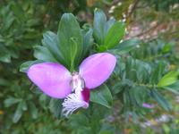 Silvester-Rundreise Zypern - Kloster Agios Georgios Alamanou