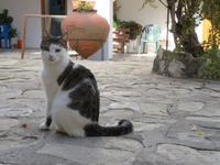 Silvester-Rundreise Zypern - Frauenkloster Agios Minas