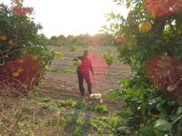 Silvester-Rundreise Zypern - Kouklia