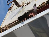 Silvester-Rundreise Zypern - Nikosia