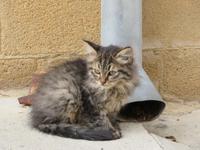 Silvester-Rundreise Zypern - Nikosia