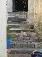 Silvester-Rundreise Zypern - Dorf Arsos