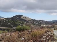 Silvester-Rundreise Zypern - Troodosgebirge