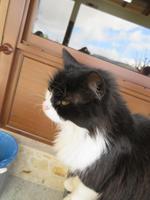 Silvester-Rundreise Zypern - Weinverkostung im Weingut Gerolemos