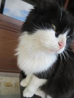 Silvester-Rundreise Zypern - Weinverkostung im Weingut Gerolemos