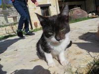 Silvester-Rundreise Zypern - Weinverkostung im Weingut Gerolemos