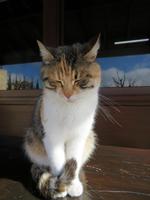 Silvester-Rundreise Zypern - Weinverkostung im Weingut Gerolemos