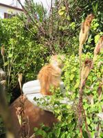 Silvester-Rundreise Zypern - Omodos