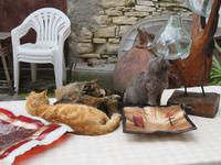 Silvester-Rundreise Zypern - Omodos