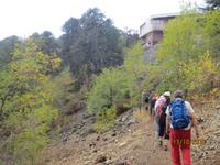 Auf dem Weg der Persephone