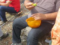 Feigen aus Antonis Garten