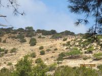 Die andere Wandergruppe 