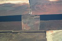 ...kleiner Mitbewohner der Scheunendachkirche