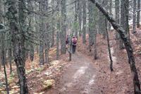 Abschied vom Troodos-Gebirge