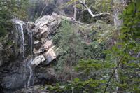 Kaledonia-Wasserfall 