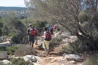 es geht bergab (zur Avagas-Schlucht) 