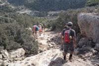 endlich wieder Lichtblicke