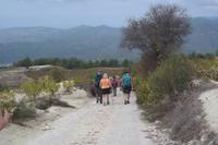 Abstieg aus der Weinregion