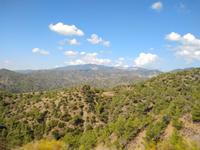 136 Ankunft im Troodos Gebirge