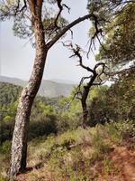 148 Höhenweg auf 1200 m