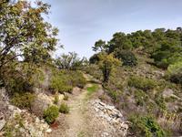 153 Stavos tou Agiasmati-Lagoudera Trail